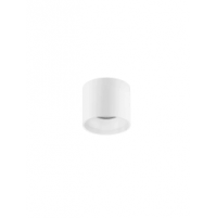 PLAFONIERA ANELLO 9030773