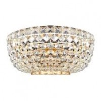 APLICA BASFOR DIA100-WL-02-G